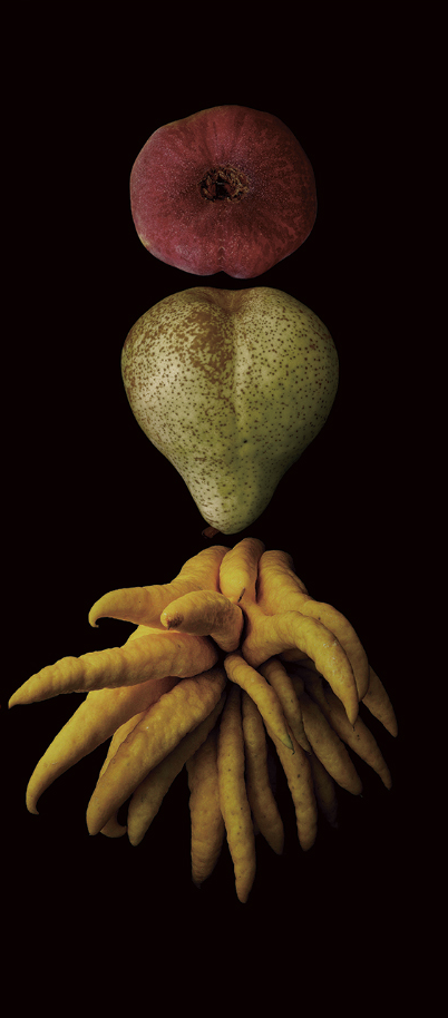 Portrait of Fruit